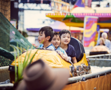 Adventure Log Flume