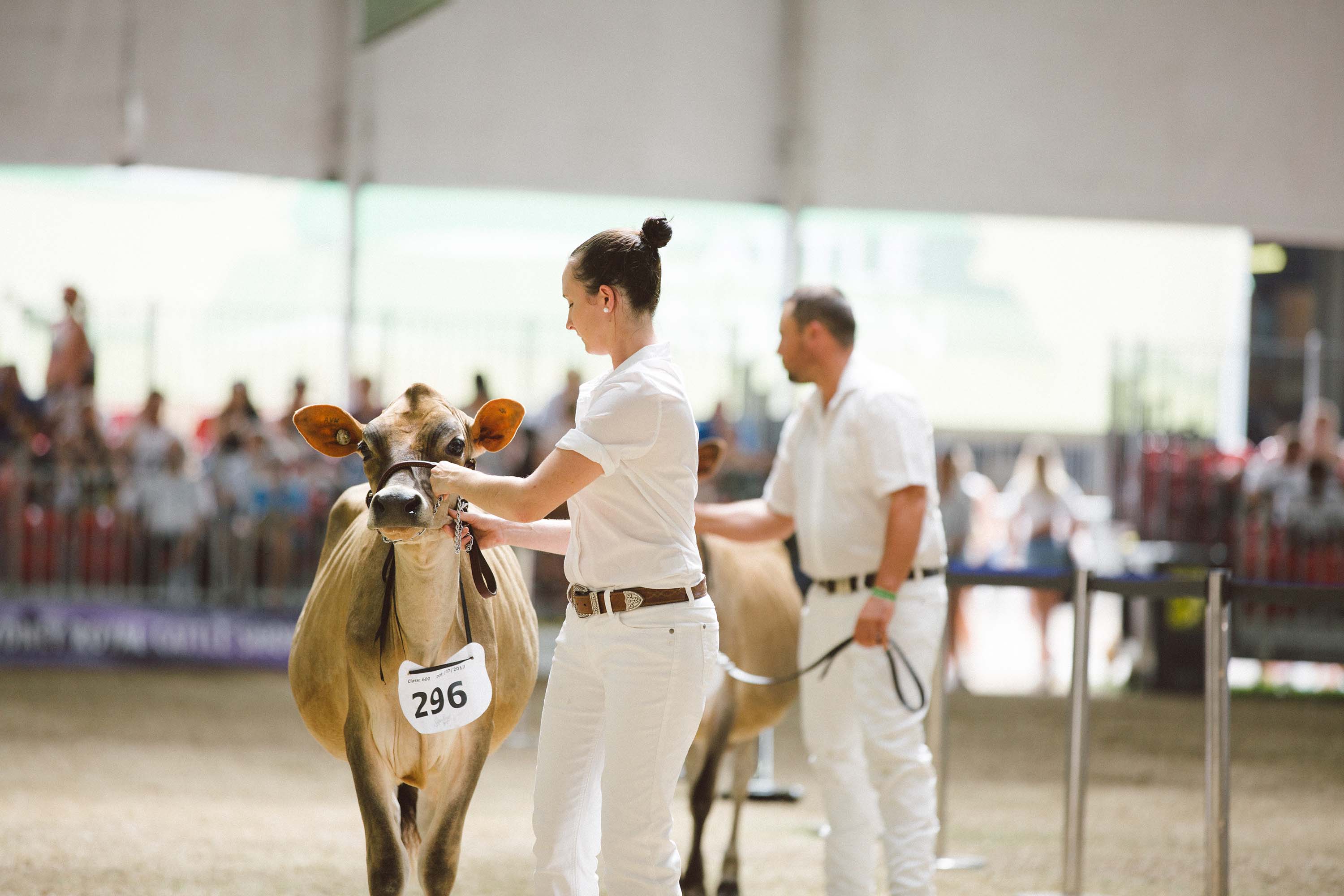 Sydney Royal Dairy Cattle Show