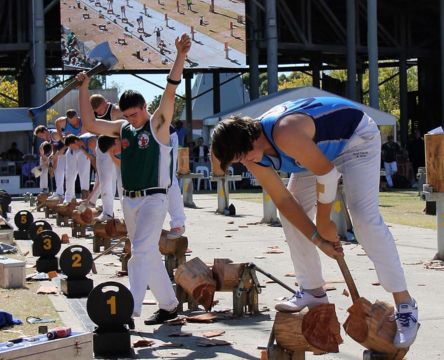 Woodchopping & Sawing Competition - Underhand